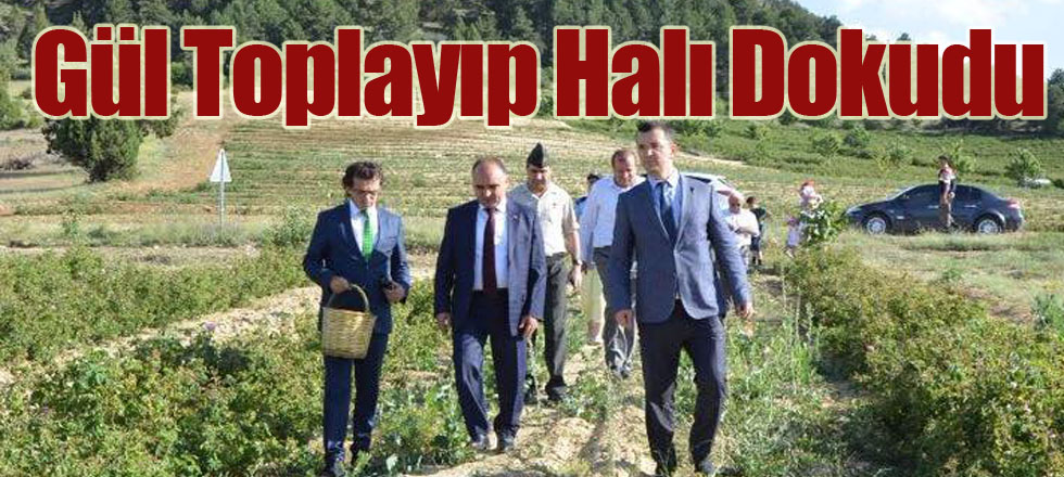 Gül Toplayıp Halı Dokudu