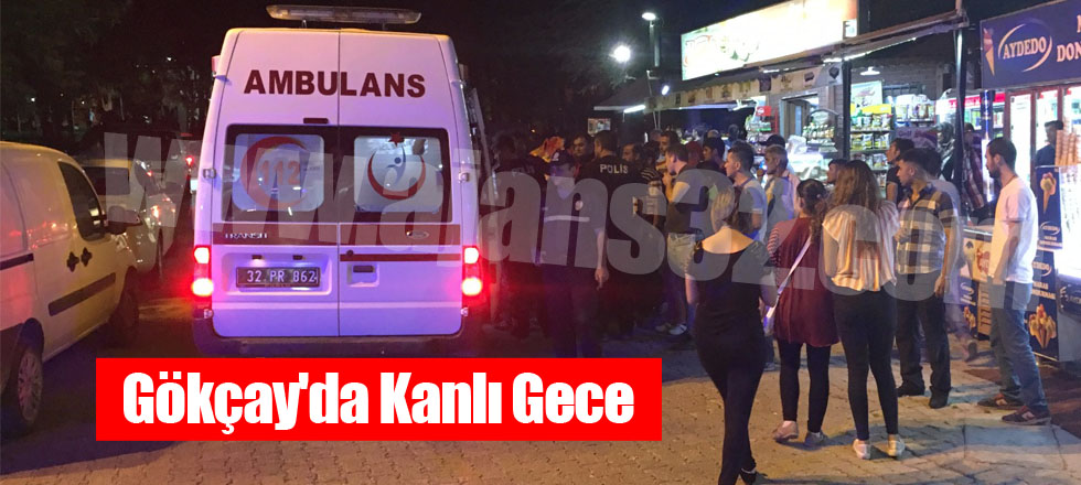 Gökçay'da Kanlı Gece