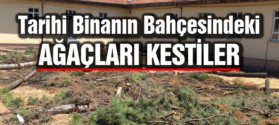 Tarihi Binanın Bahçesindeki Ağaçları Kestiler