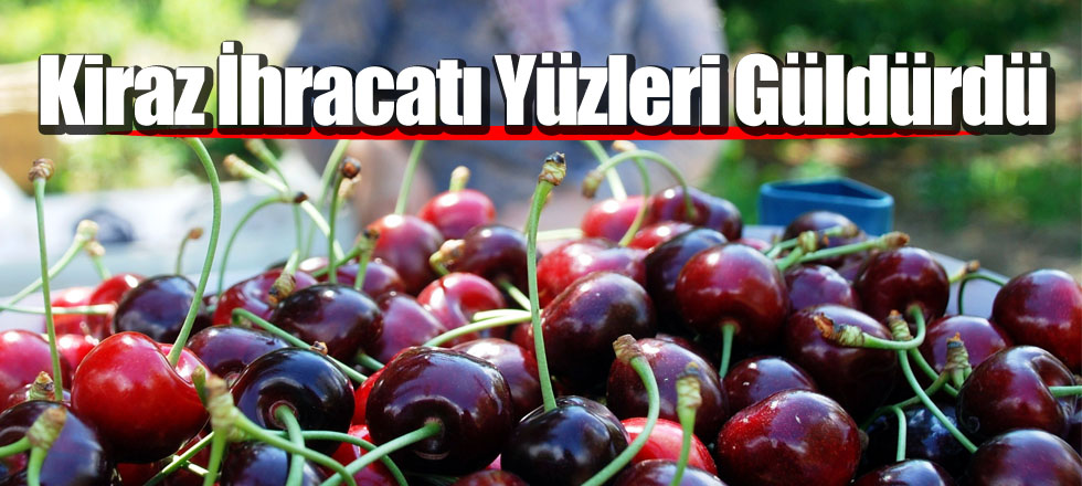 Kiraz İhracatı Yüzleri Güldürdü