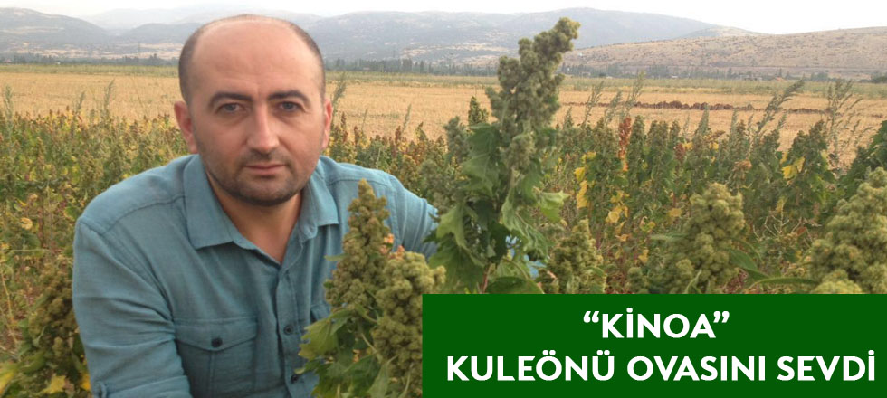 “KİNOA” ISPARTA KULEÖNÜ OVASINI SEVDİ…