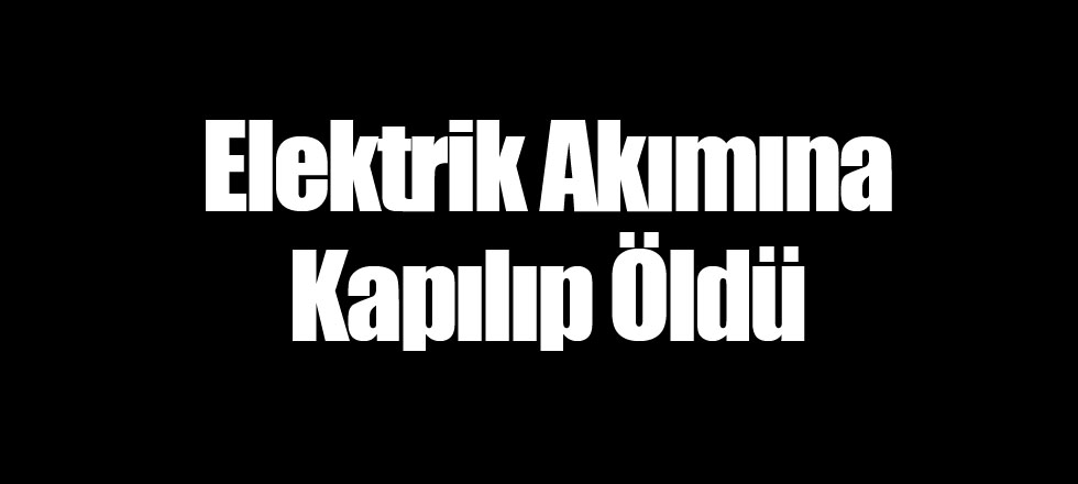 Elektrik Akımına Kapılıp Öldü