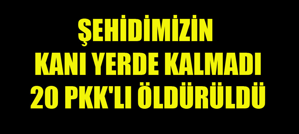 Şehidimizin Kanı Yerde Kalmadı: 20 Pkk'lı Öldürüldü