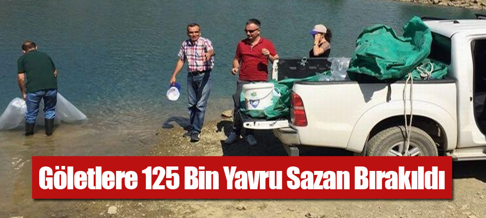 Göletlere 125 Bin Yavru Sazan Bırakıldı