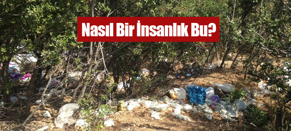 Nasıl Bir İnsanlık Bu?