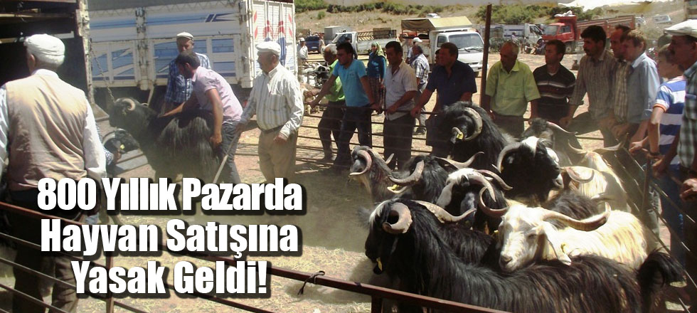 800 Yıllık Pazarda Hayvan Satışına Yasak Geldi!