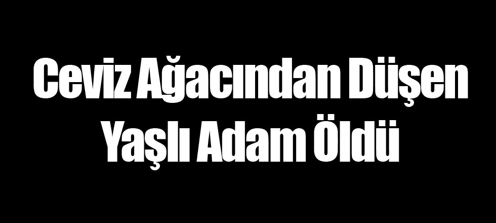 Ceviz Ağacından Düşen Yaşlı Adam Öldü