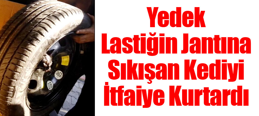 Yedek Lastiğin Jantına Sıkışan Kediyi İtfaiye Kurtardı