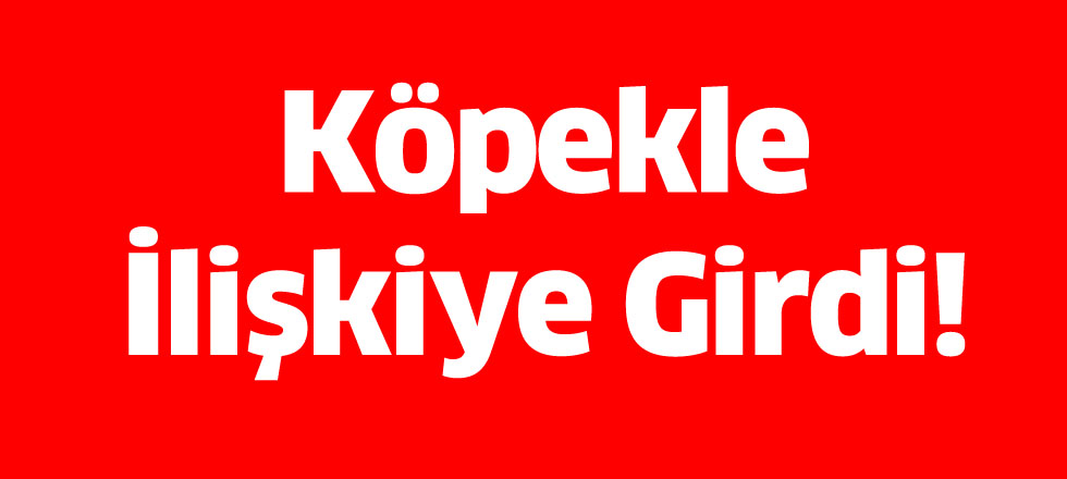 Köpekle İlişkiye Girdi!
