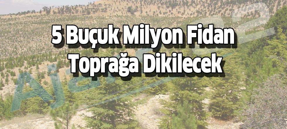 5 Buçuk Milyon Fidan Toprakla Buluşacak