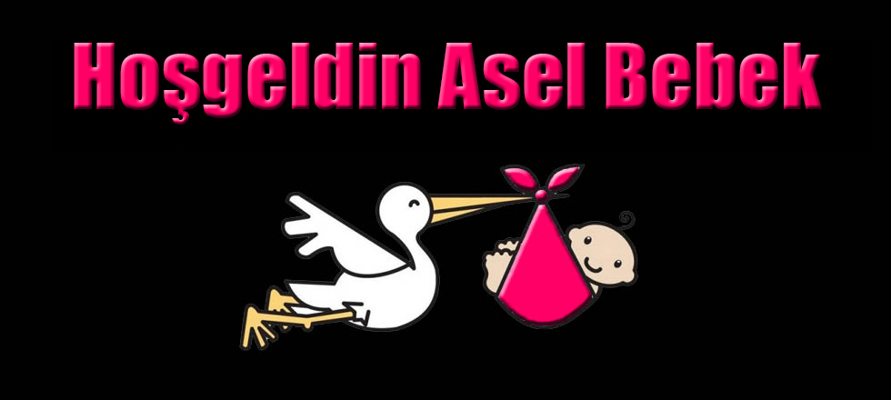 Hoşgeldin Asel Bebek