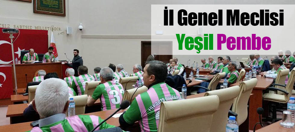 İl Genel Meclisi Yeşil Pembe