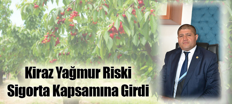 Kiraz Yağmur Riski Sigortası Kapsamına Girecek