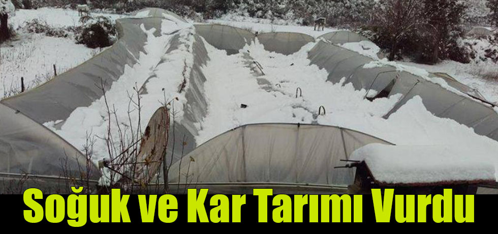 Soğuk ve Kar Tarımı Vurdu