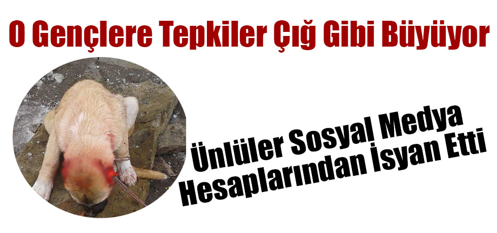 Sanatçılardan O Gençlere Sert Tepkiler