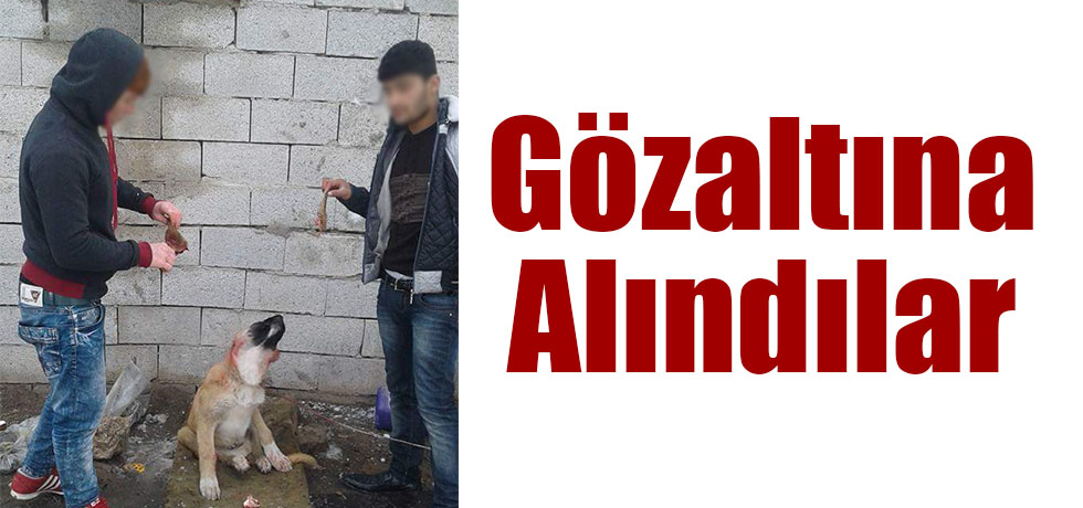 Gözaltına Alındılar