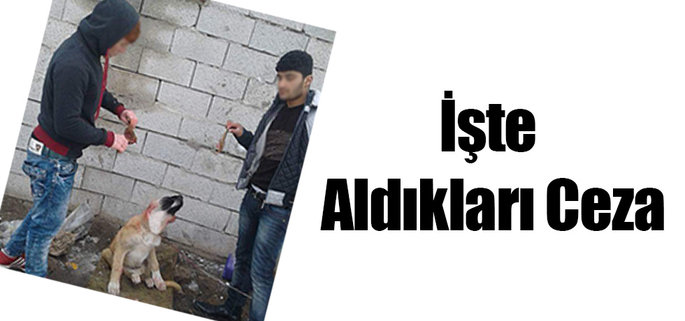 İşte Aldıkları Ceza