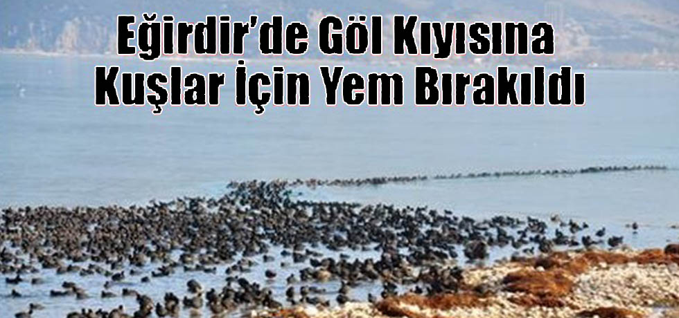 Göl Kenarına Kuşlar İçin Göle Yem Bıraktılar