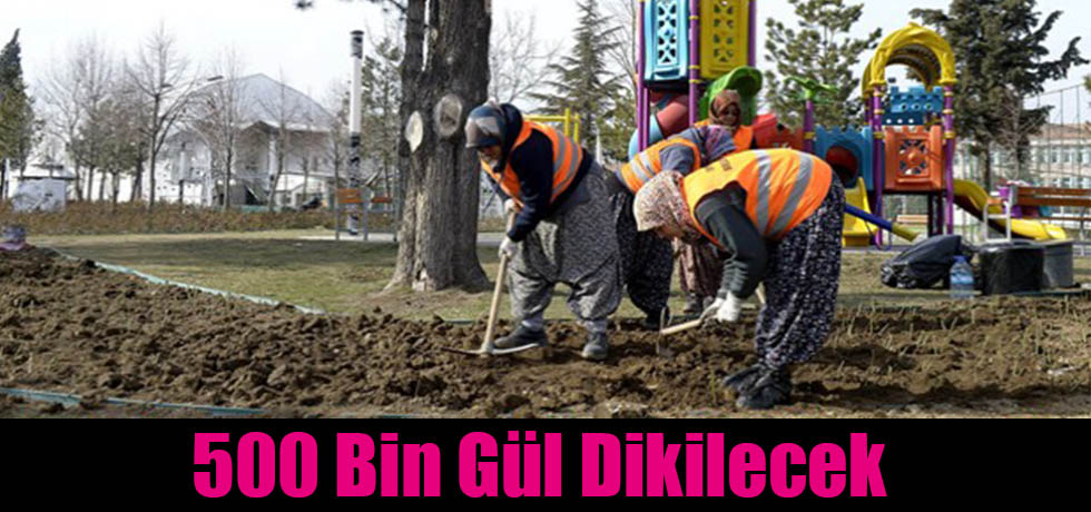 500 Bin Gül Dikilecek