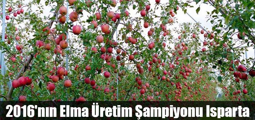 2016'nın Elma Üretim Şampiyonu Isparta