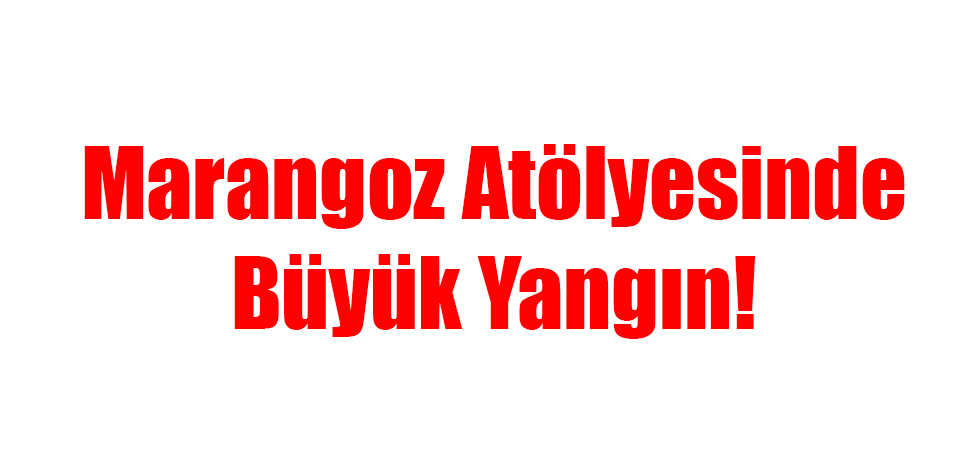 Marangoz Atölyesinden Büyük Yangın