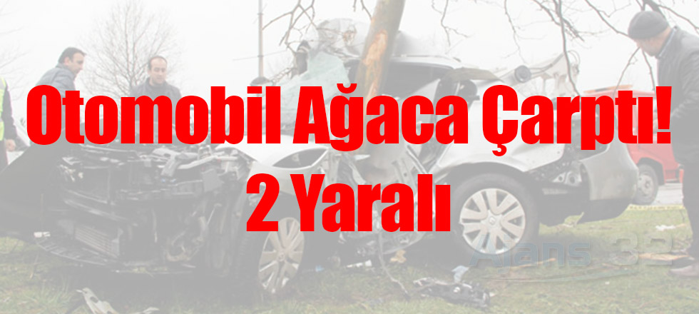 Otomobil Ağaca Çarptı 2 Yaralı