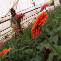 Isparta'ya Rakip Çıkıyor