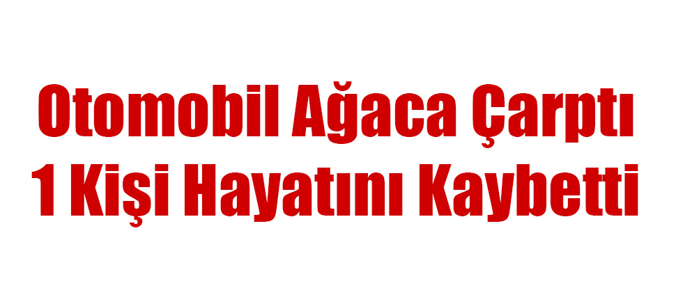 Otomobil Ağaca Çarptı; 1 Ölü!
