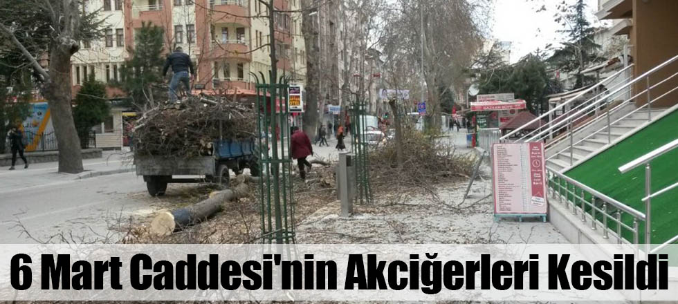 6 Mart Caddesi'nin Akciğerleri Kesildi