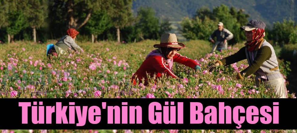 Türkiye'nin Gül Bahçesi Isparta