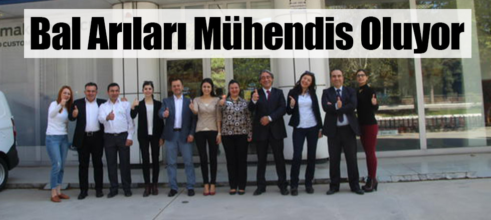 Bal Arıları Mühendis Oluyor