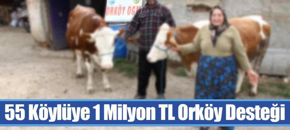 55 Köylüye 1 Milyon TL Orköy Desteği