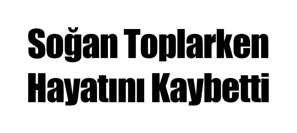 Soğan Toplarken Hayatını Kaybetti