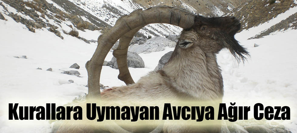 Kurallara Uymayan Avcıya Ağır Ceza
