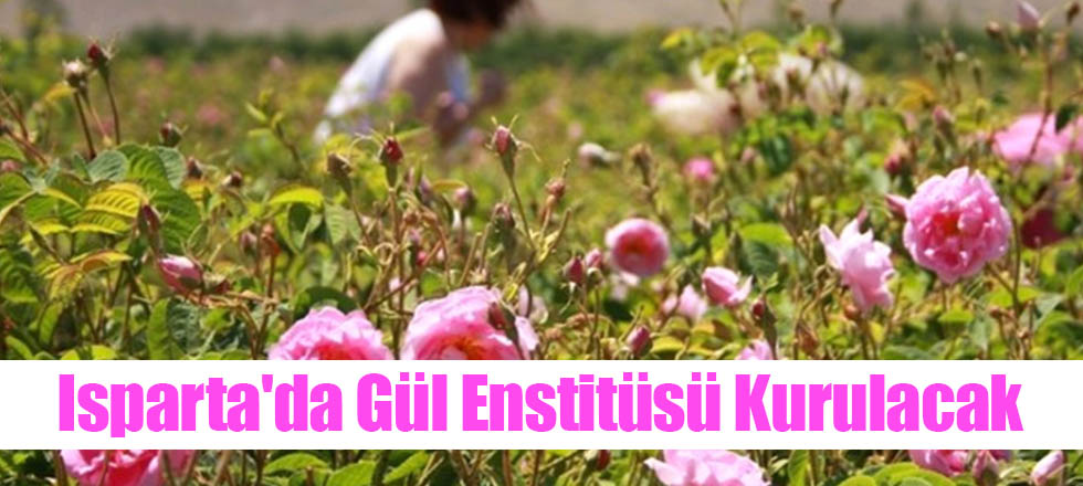 Isparta'da Gül Enstitüsü Kurulacak