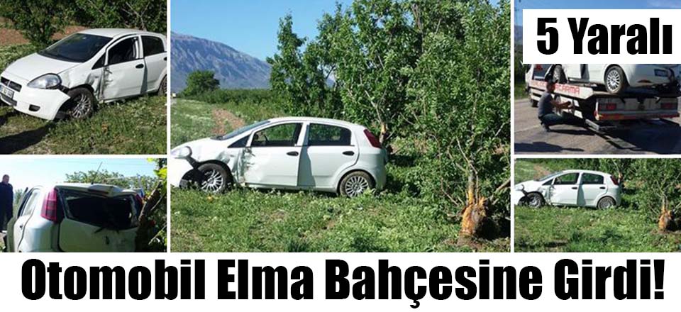 Otomobil Elma Bahçesine Girdi! 5 Yaralı