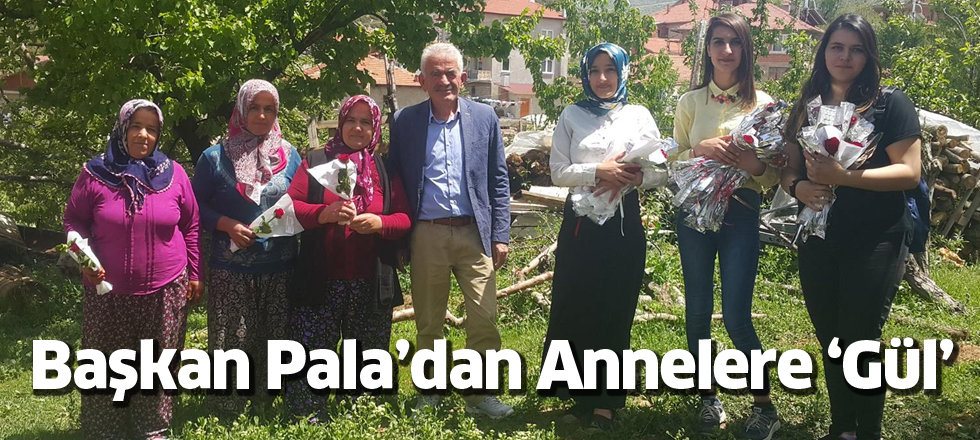 Başkan Pala’dan Annelere ‘Gül’