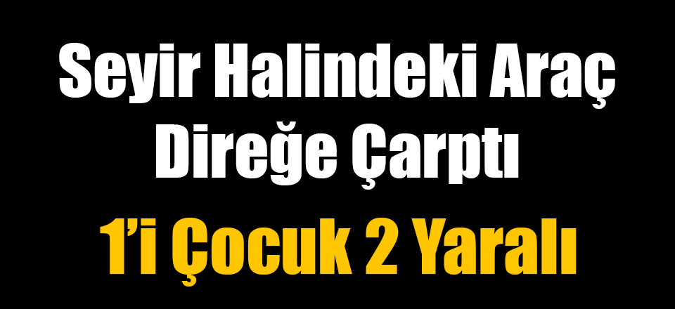 Seyir Halindeki Araç Direğe Çarptı
