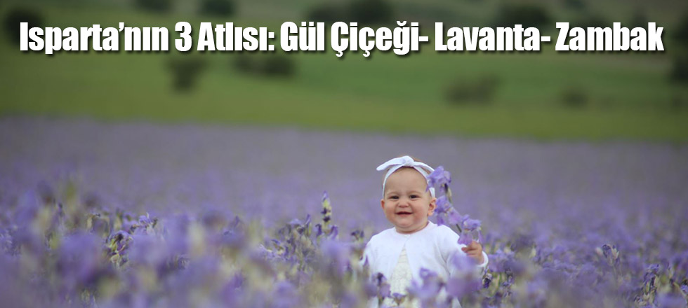 Isparta’nın 3 Atlısı: Gül Çiçeği- Lavanta- Zambak