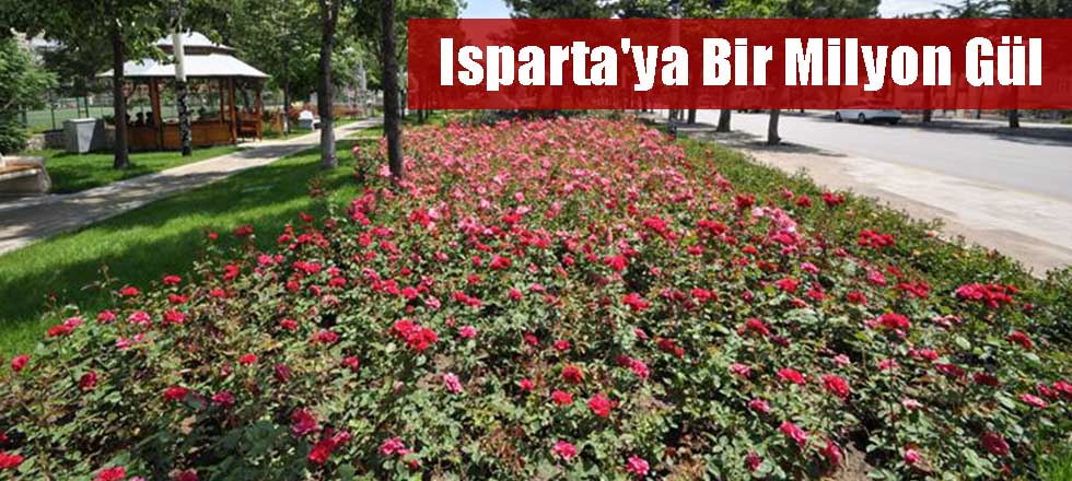 Isparta'ya Bir Milyon Gül