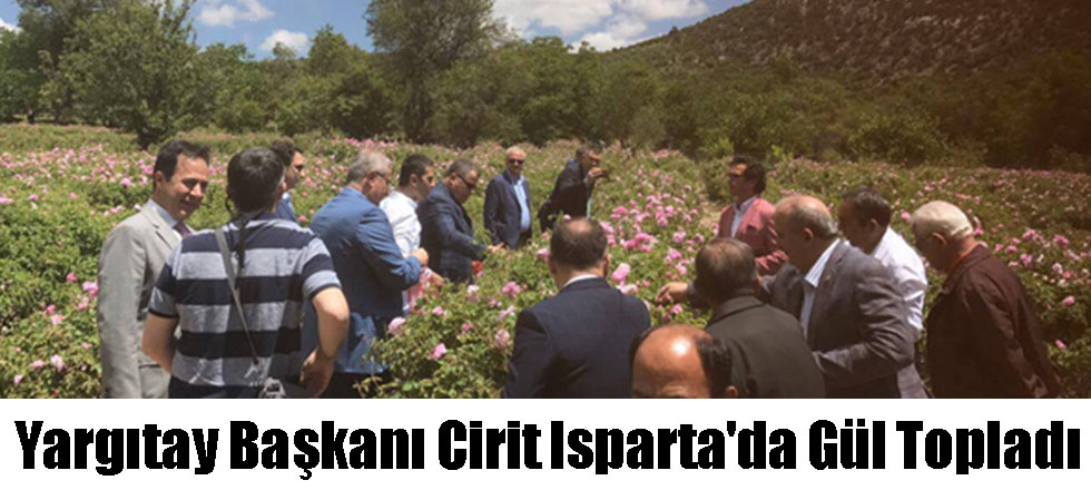 Yargıtay Başkanı Cirit Isparta'da Gül Topladı