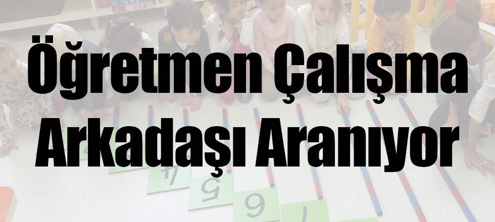 Öğretmen Çalışma Arkadaşı Aranıyor