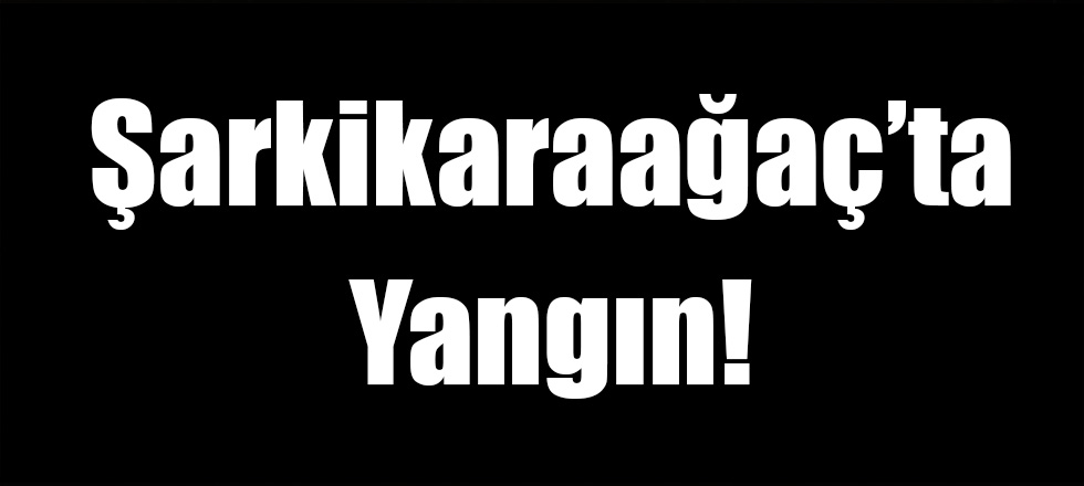 Şarkikaraağaç'ta Yangın