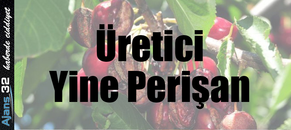 Üretici Yine Perişan