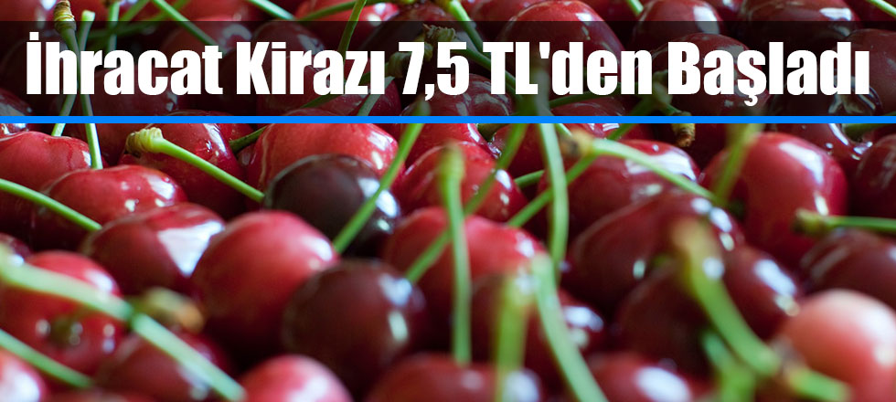 İhracak Kirazı 7,5 TL'den Başladı