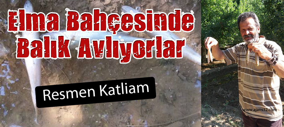 Elma Bahçesinde Balık Avlıyorlar