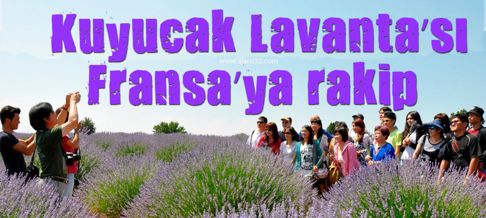 Kuyucak Lavantası Fransa'ya Rakip