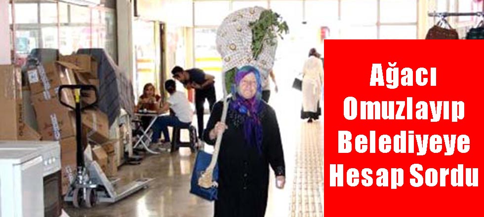 Ağacı Omuzlayıp Belediyeye Hesap Sordu