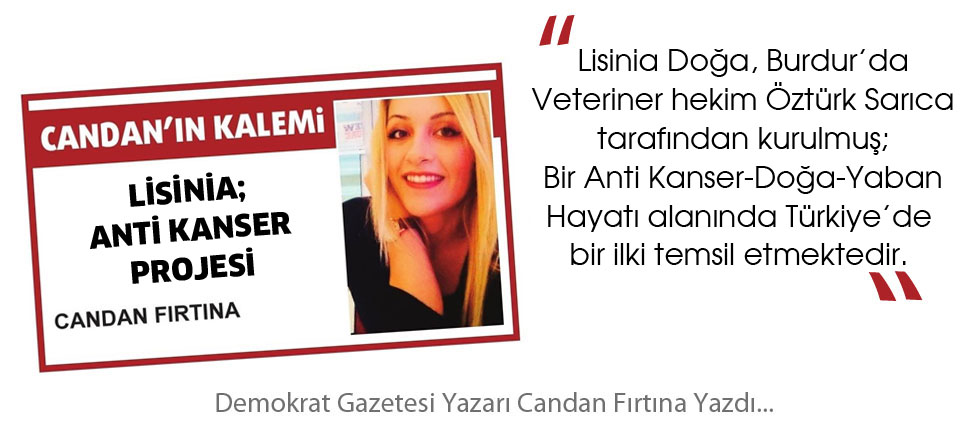 Lisinia; Anti Kanser Projesi