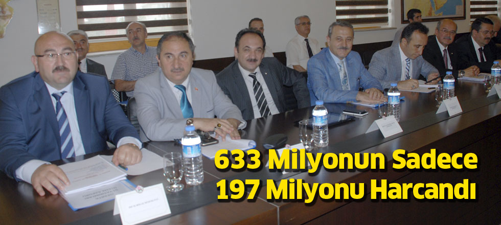 633 Milyonun Sadece 197 Milyonu Harcandı